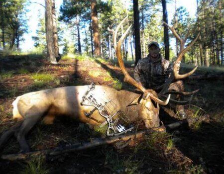 wta_1311_YBO6WM_photo_server(4)