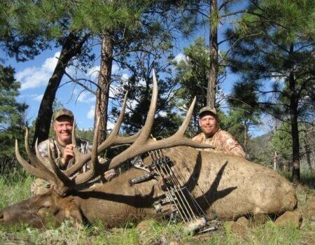 wta_1311__featured_HAH82N_photo_server(1)