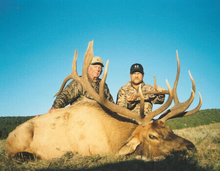 wta_1311_rifle_elk6_lrg