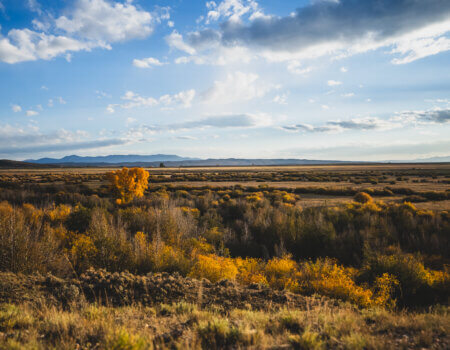 wta_1315_Colorado MP 10-1 PM (19 of 27)