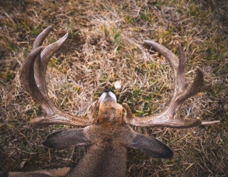 wta_1315_Colorado MP 10-3 PM-17