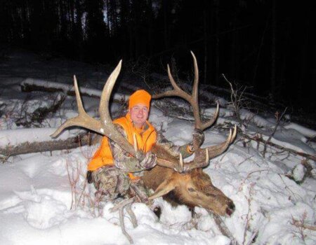 wta_1316_GDRMPI_Coloradoelk351