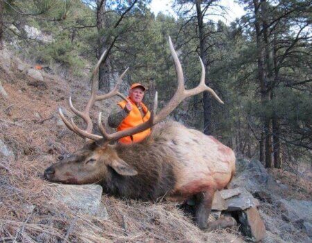 wta_1316_HC84EW_Coloradoelkhunting336