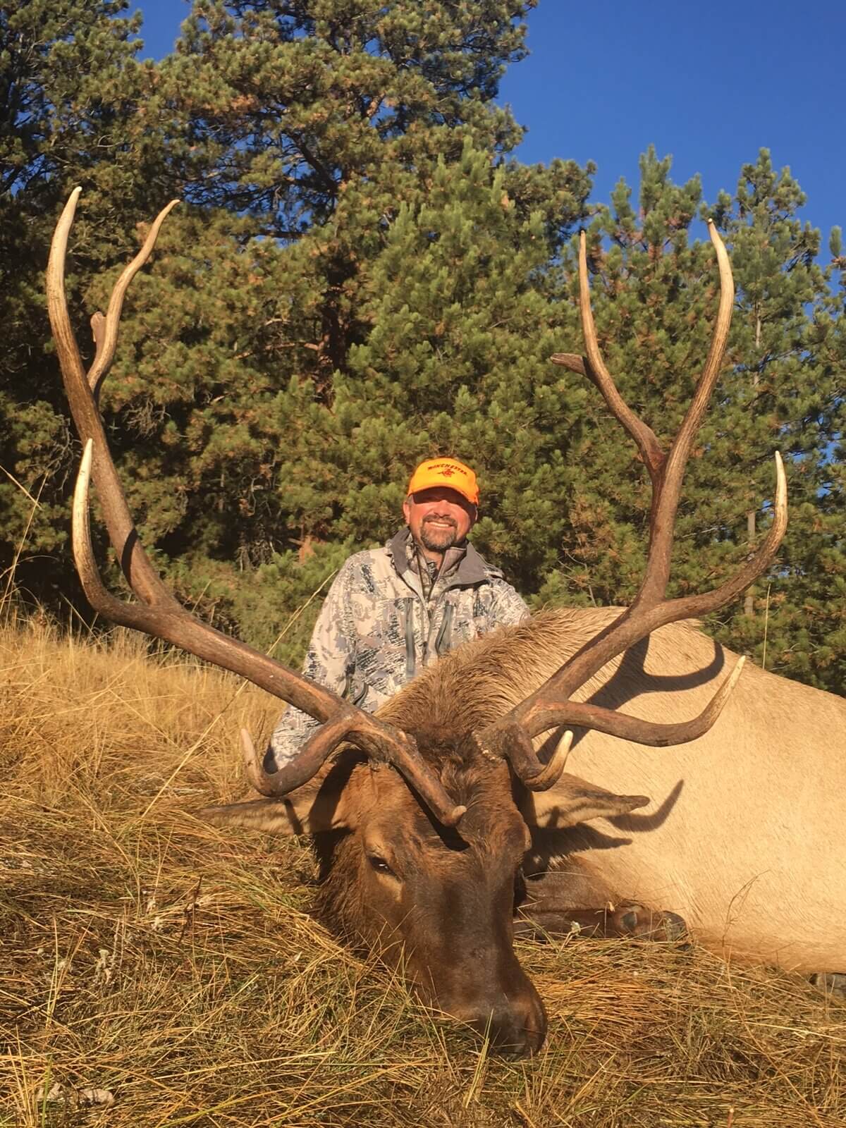 Colorado Unit 20 Elk Hunt by Rocky Mountain National Park