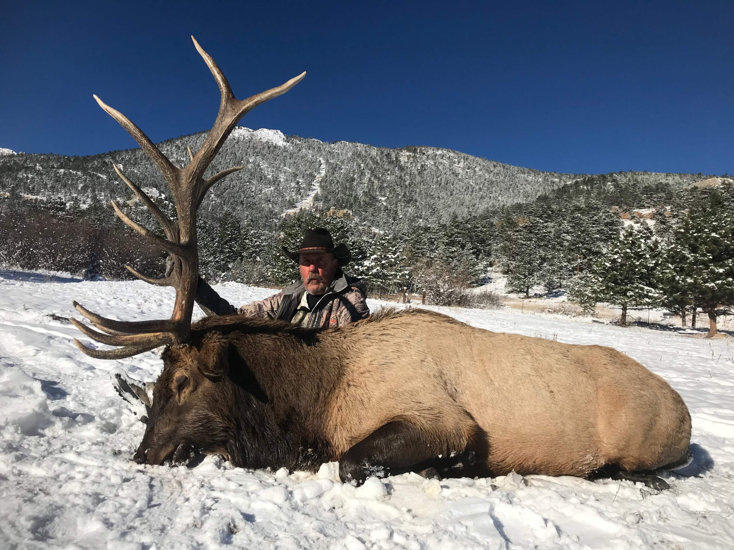 elk hunting trips colorado