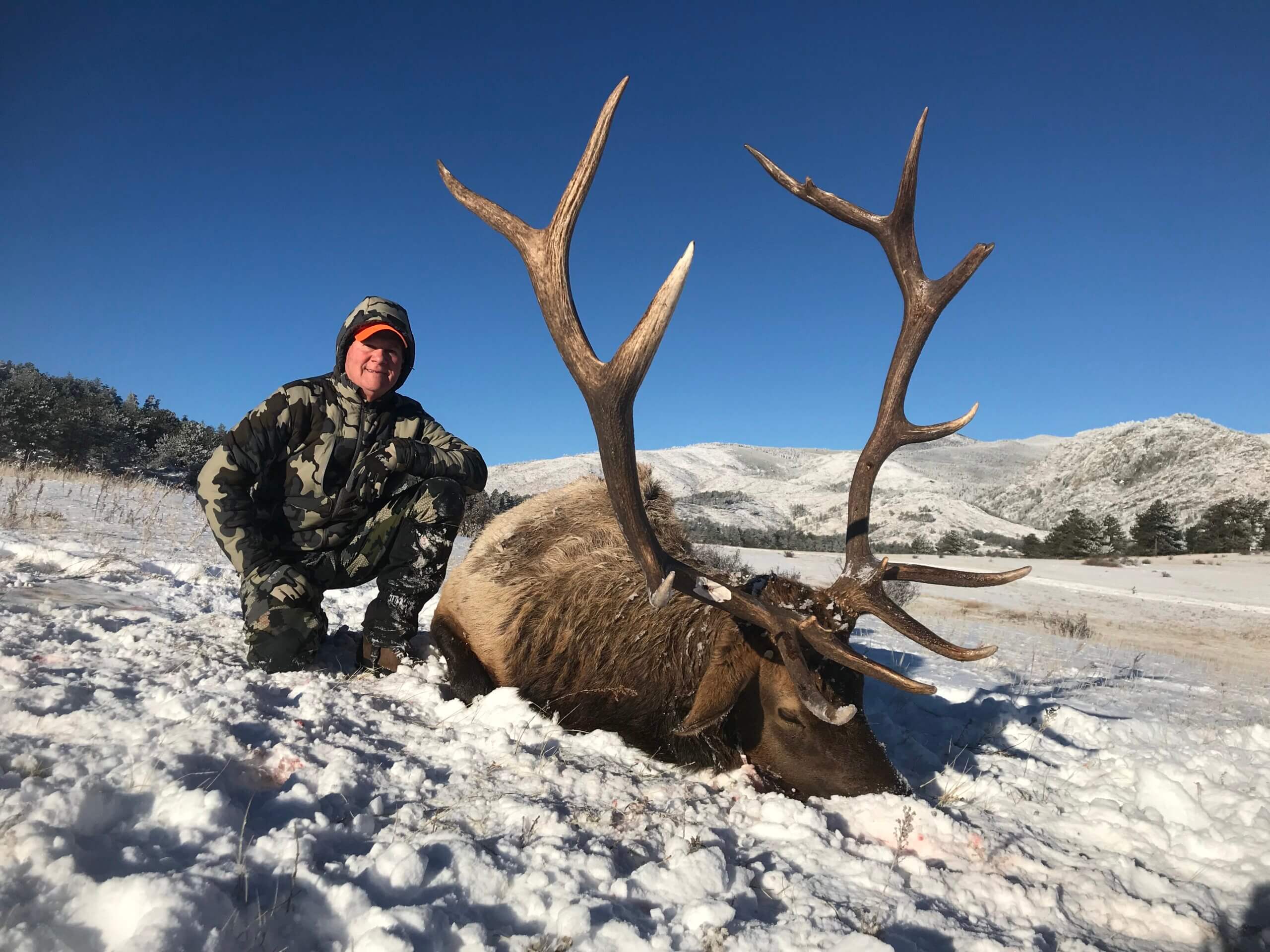 colorado elk hunting trip