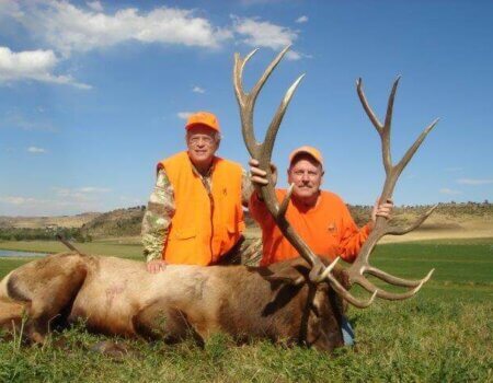 wta_1316_R8P9O8_coloradomuzzleloaderelk332