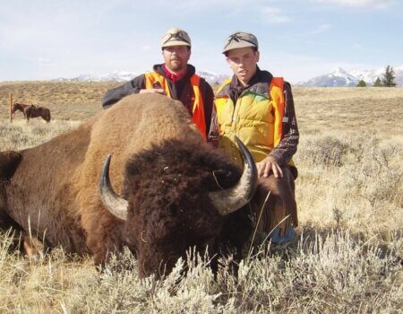 wta_1318_1J4QWG_HiddenBasinBison3