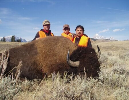 wta_1318_1P626I_HiddenBasinBison2