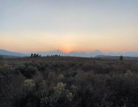 wta_1318_Matt S. Tetons