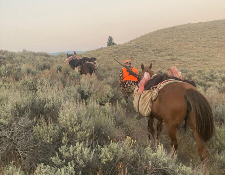 wta_1318_Matt S. Trailing Horses