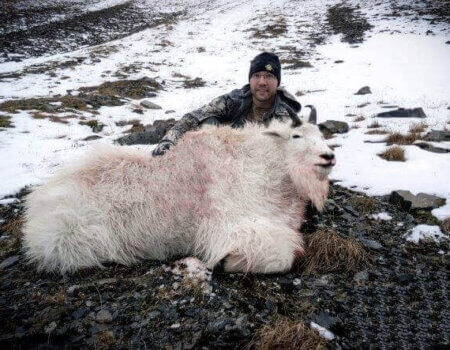 wta_1324_D67OO7_kadegoat