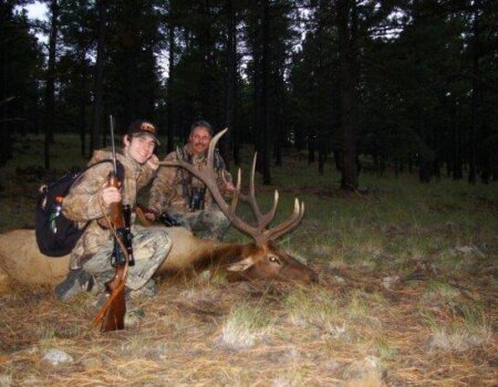 wta_1330_5STING_CASelk05