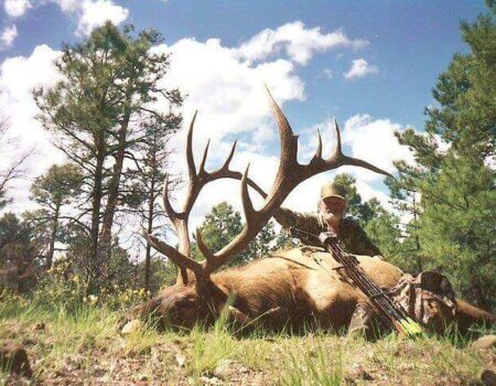 wta_1330__featured_ZXR42W_bow_elk5_lrg