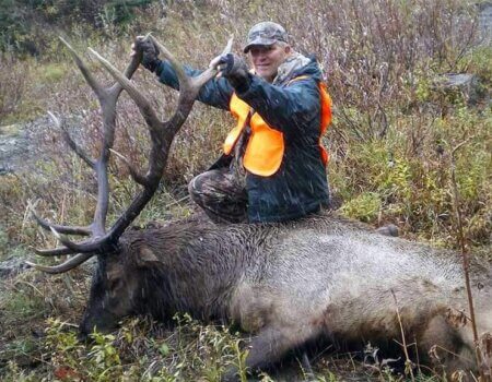 wta_1345_235GV5_HBElk8