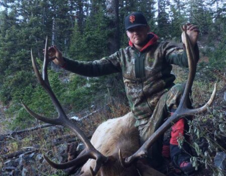 wta_1345_29UIYF_HBElk3