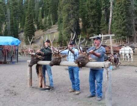 wta_1345_HJBVHY_HBElk7