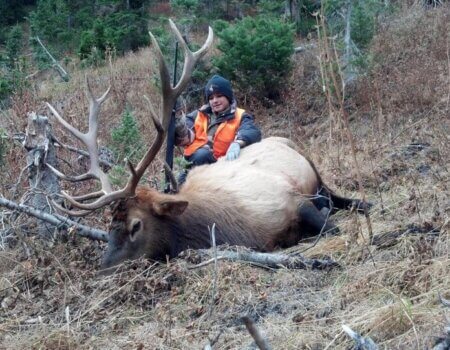 wta_1345_KT7A56_HBElk6