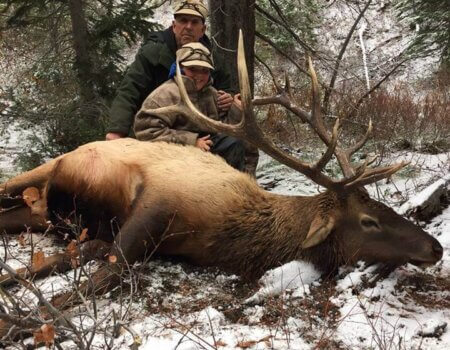 wta_1345_WG5U9C_HBElk9