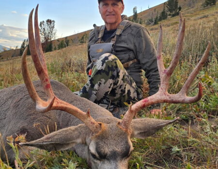 wta_1346_4399451847381088647 (1)