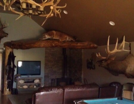 wta_1349_50MTAR_deadlinelodging