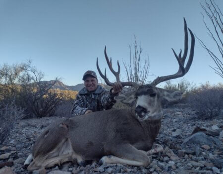 wta_1372_Mule Deer 2