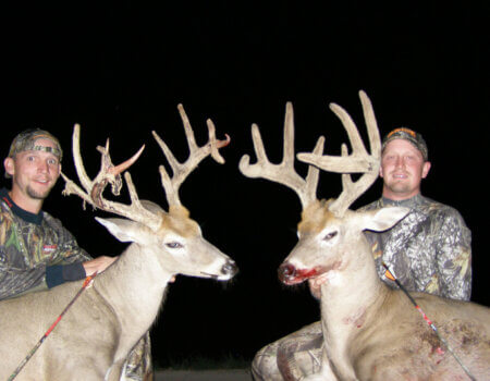 wta_1374_seppela,wtx2