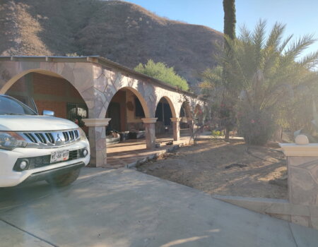 wta_1375_image000000 (29)