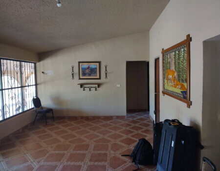 wta_1375_image000000 (32)