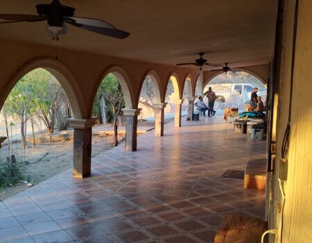 wta_1375_image000000 (33)