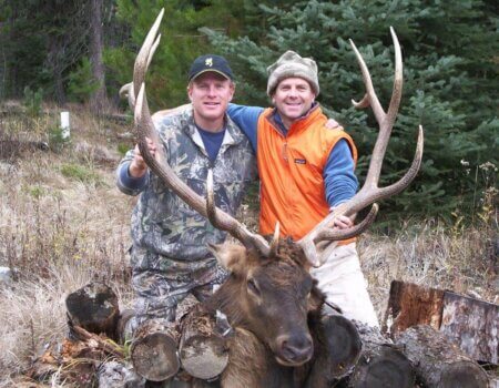 wta_1378_HOXF8C_Joeypillmeier2006bullelk035