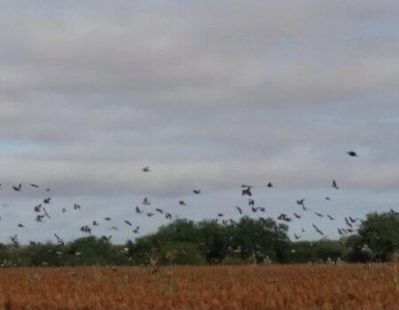 wta_1391_9IMRPP_20141116_092521(1)