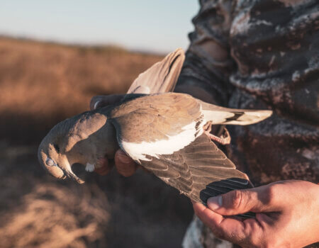 wta_1391_DSC07186 (1)