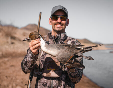 wta_1391_DSC07682 Pintail Drake