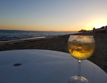 wta_1391_GWWNOD_IMG_1340(1)