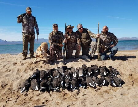 wta_1391_KBTEP1_IMG_2753