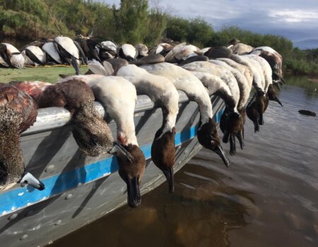 wta_1391_WhatsApp-Image-2019-11-20-at-2.13.24-PM