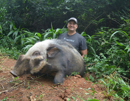 wta_1394_LMP9TM_bushpiglr