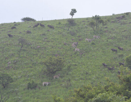 wta_1394_ZYT2SI_DSC_0601