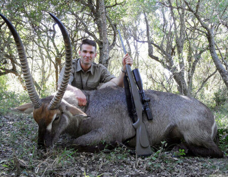 wta_1396_85M1MU_williams(40)