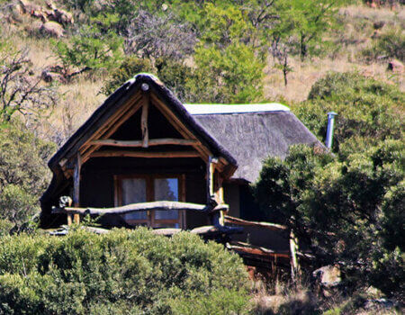 wta_1396_BR82LE_campbav(14)-crop