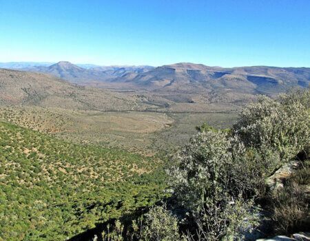 wta_1396_DS0TLY_big(2)