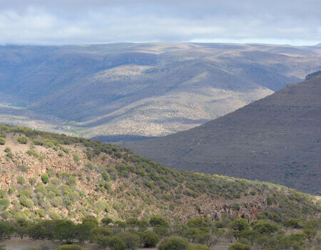 wta_1396_ESVNU3_DSC_0501