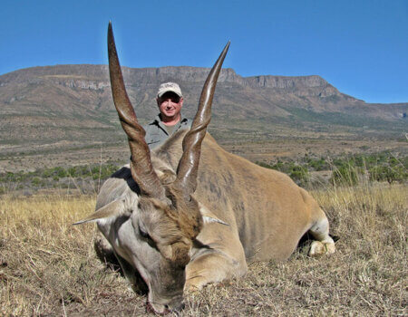 wta_1396_YLKHLW_big(4)