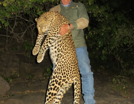 wta_1398_5W2LT2_leopard2