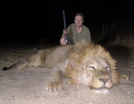 wta_1398_GNYSEE_lion