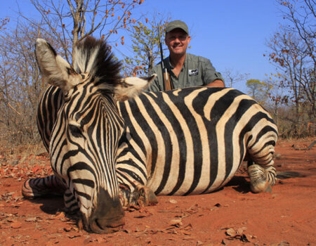 wta_1398_LZZHK6_zebra