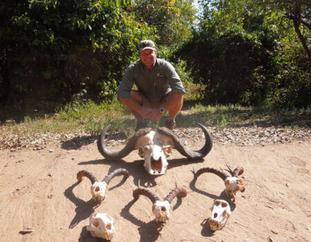 wta_1398_SZ3SVF_skulls2