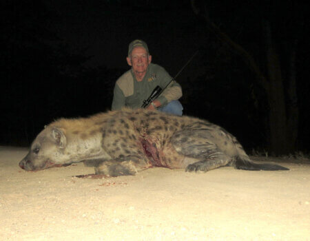 wta_1398_TRZAKW_hyena