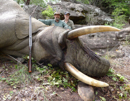 wta_1400_1628VM_elephant2